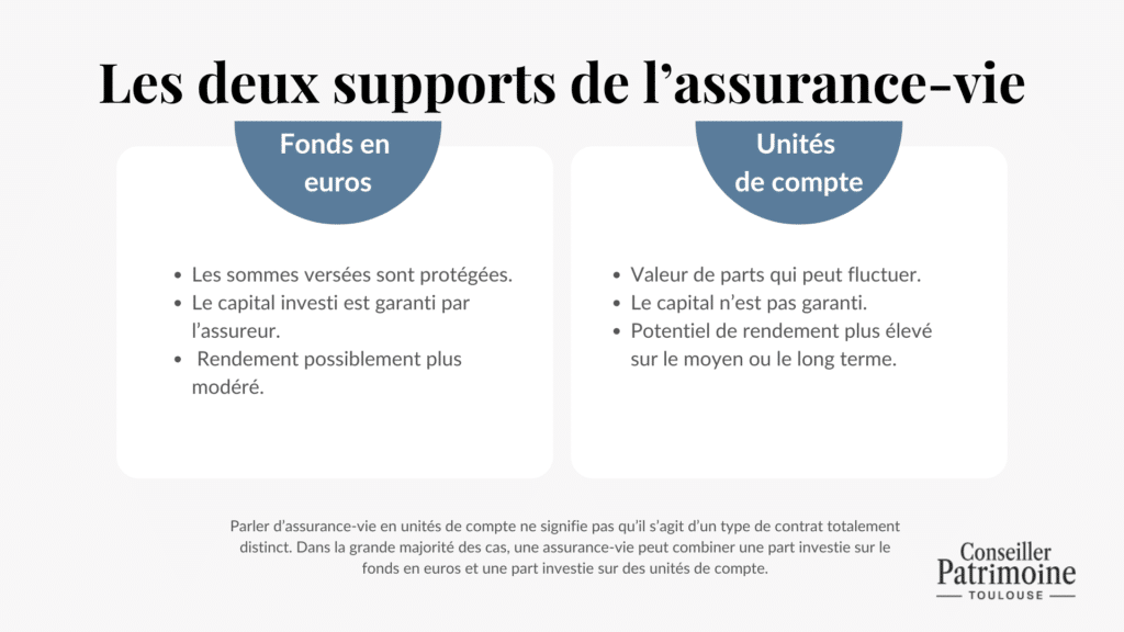 les differents supports assurance vie